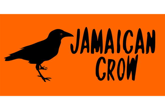 Jamaican Crow Font for Branding and Design