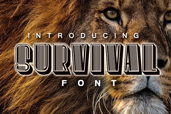 Survival Font: Bold Display Typography for Creative Projects
